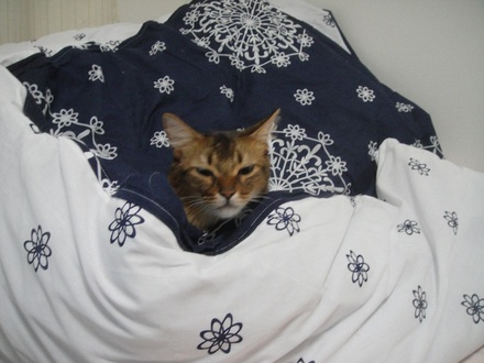 2012101602.jpg