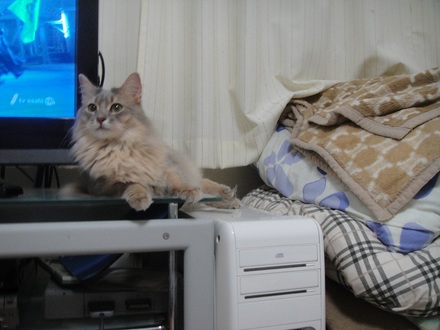 2012102001.jpg