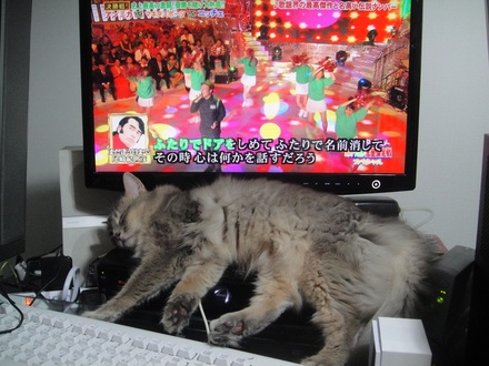 2012102002.jpg