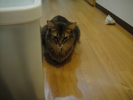 2012102201.jpg
