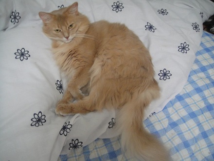 2012102202.jpg