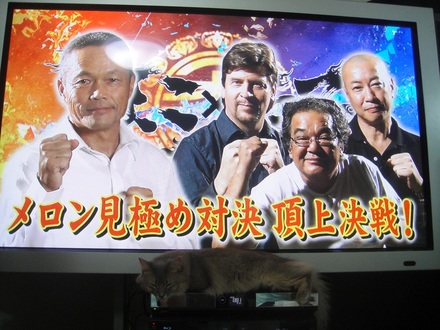 2012102802.jpg