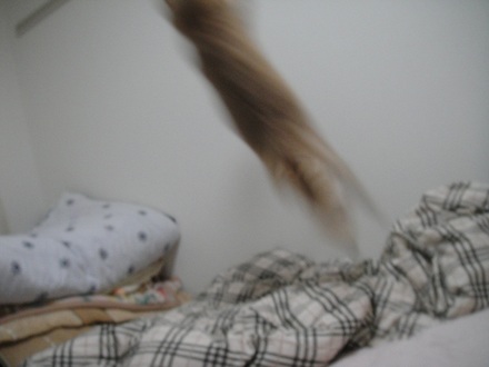 2012102900.jpg
