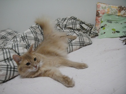2012102901.jpg