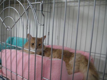 2012103003.jpg