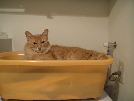 2012103101.jpg