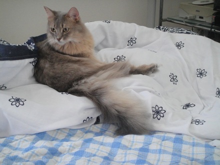 2012103102.jpg