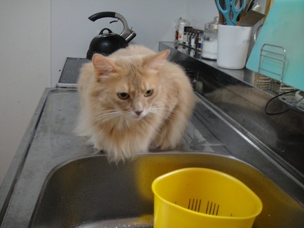 2012103103.jpg