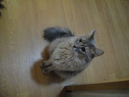 2012110100.jpg