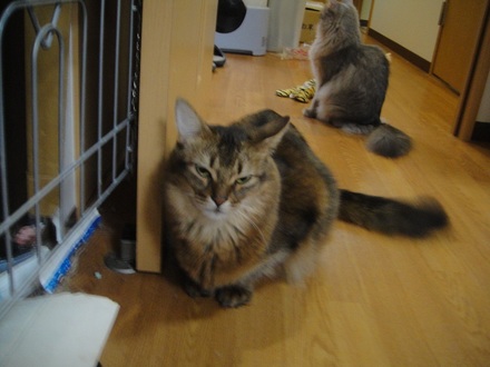 2012110101.jpg