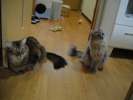 2012110102.jpg