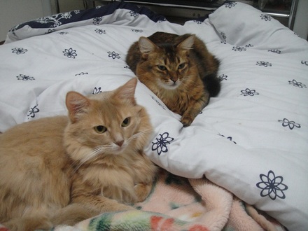 2012110301.jpg