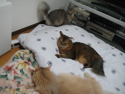 2012110402.jpg