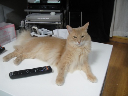 2012110403.jpg