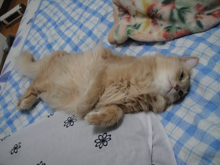 2012110501.jpg
