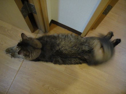 2012110600.jpg
