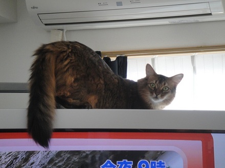 2012111002.jpg