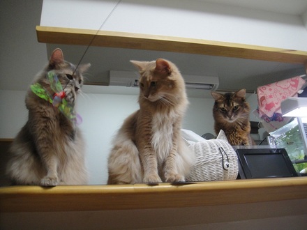 2012111302.jpg