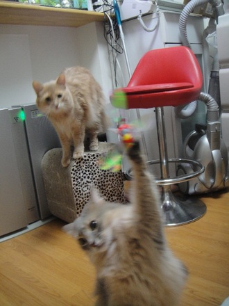 2012111303.jpg