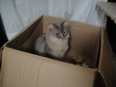 2012111500.jpg
