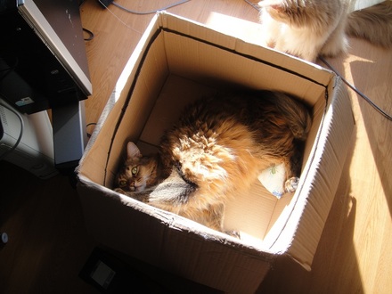 2012111902.jpg