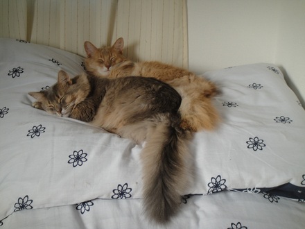 20121119A.jpg