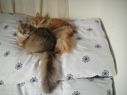 20121119B.jpg