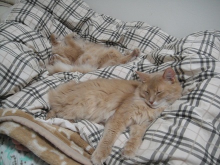 201211200.jpg