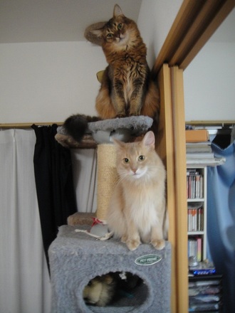 2012112002.jpg