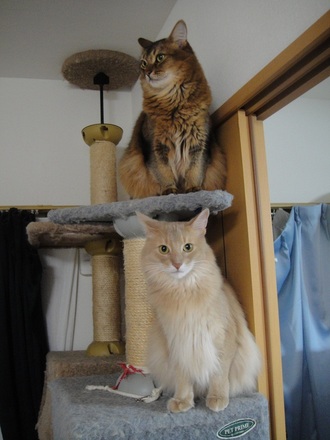 2012112003.jpg