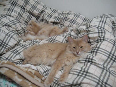 201211201.jpg