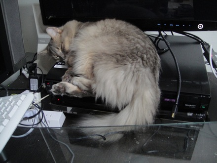 2012112401.jpg