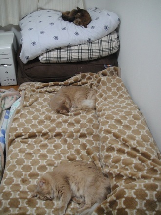 2012112500.jpg
