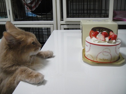 2012113001.jpg