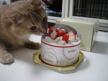 2012113004.jpg