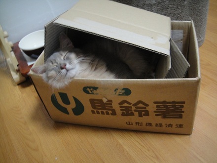 2012120100.jpg