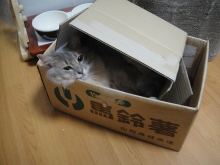 20121201013.jpg