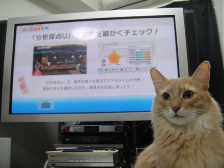 20121201500.jpg