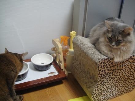 20121201601.jpg