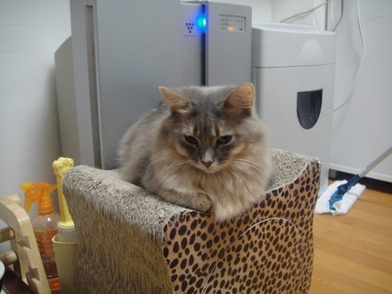 20121201602.jpg