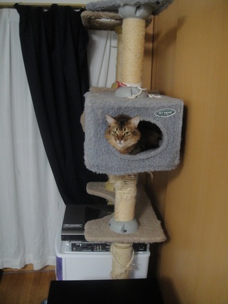 2012120300.jpg
