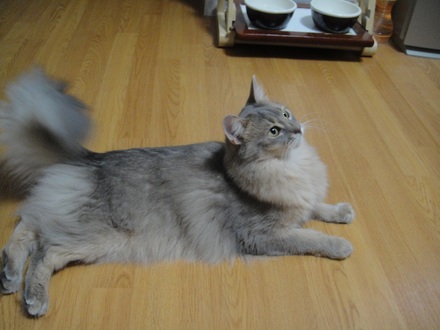 2012120804.jpg