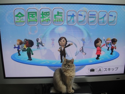 2012121203.jpg