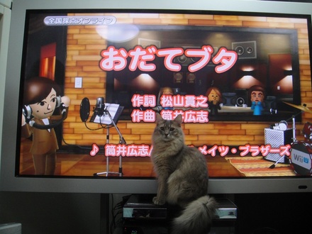2012121208.jpg