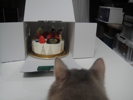 2012122401.jpg