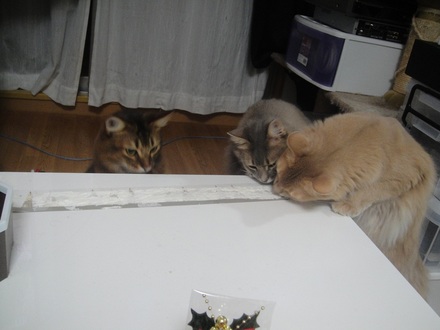 2012122404.jpg