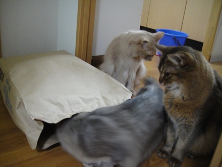 2012122600.jpg