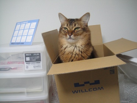 2013010700.jpg