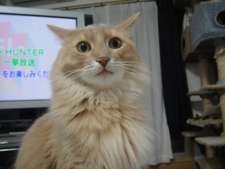 2013010701.jpg