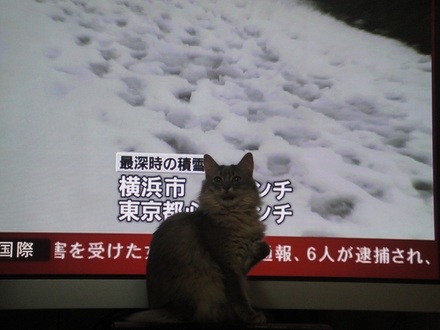 2013011401.jpg